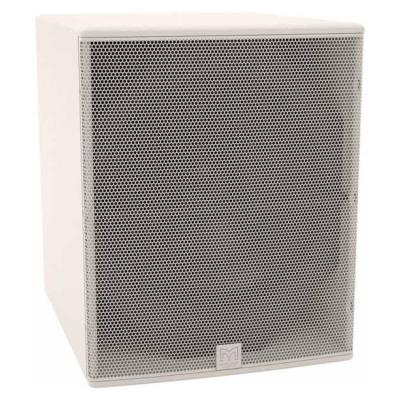 MARTIN AUDIO CSX118W-FWR